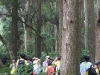 IMG_7847 (533x800)